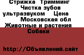 Стрижка. Тримминг. Чистка зубов ультразвуком. › Цена ­ 1 500 - Московская обл. Животные и растения » Собаки   